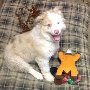 Meet your Posher, Kaylee